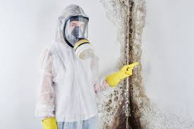 Why You Should Choose Our Mold Remediation Services in Lake Marcel Stillwater, WA